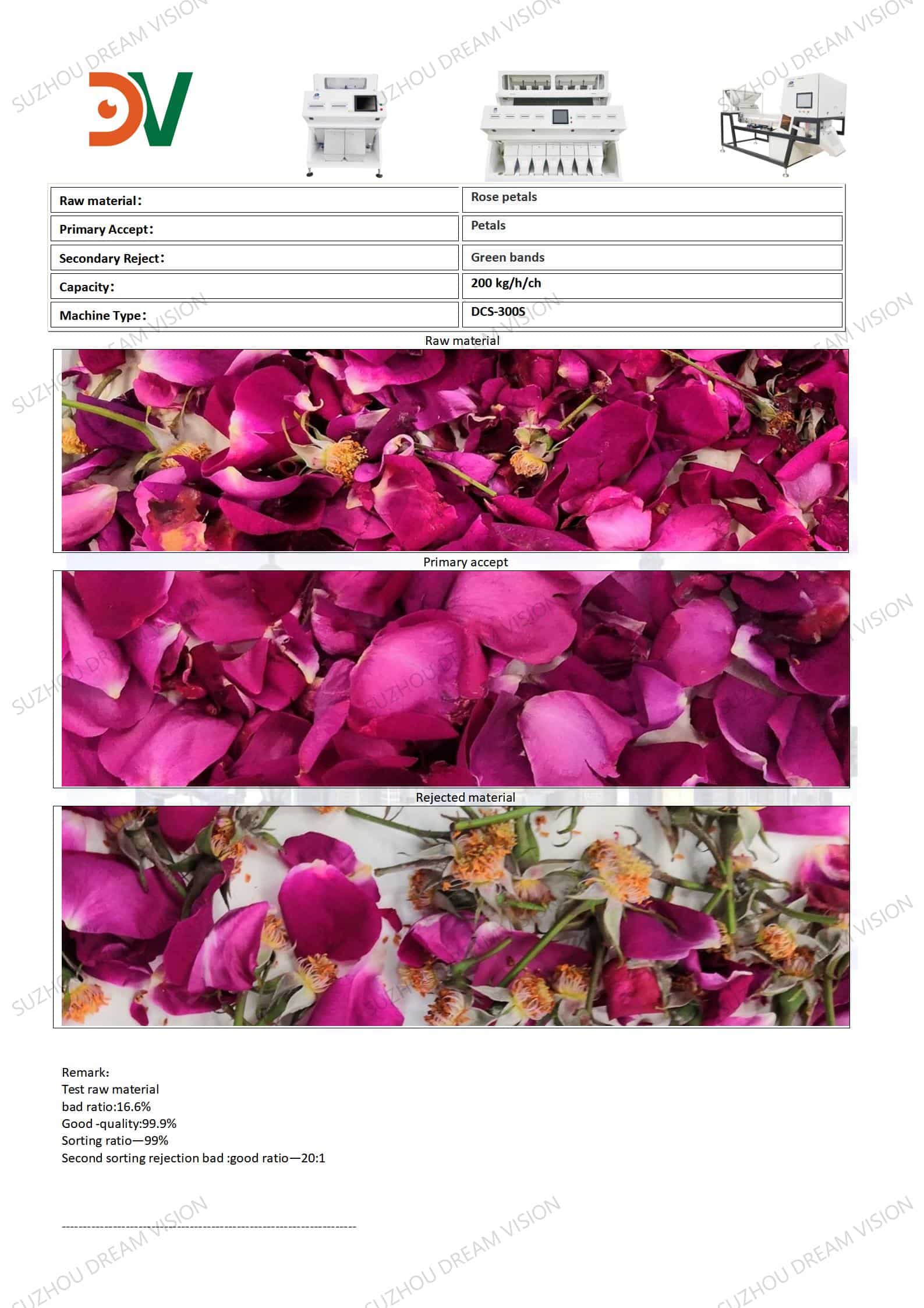 Rose Color Sorting Test Report