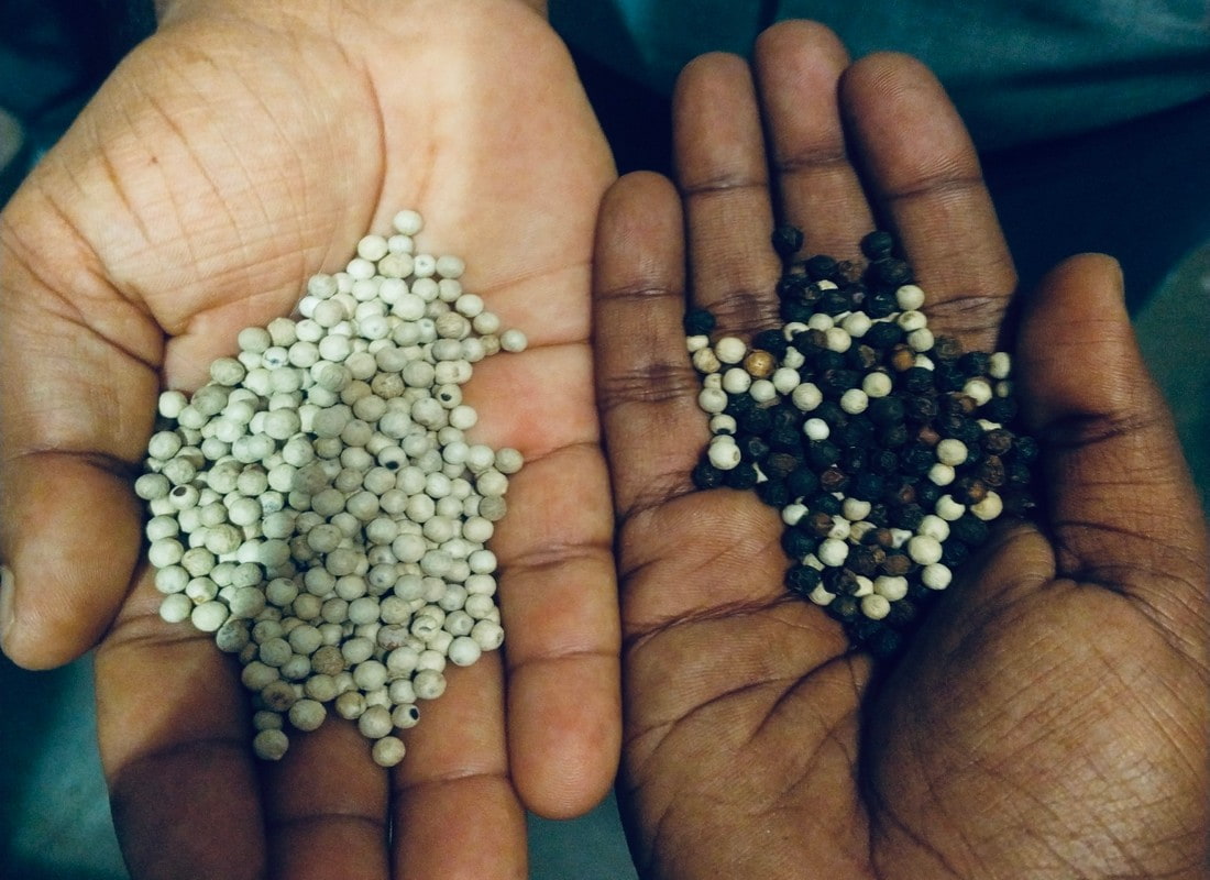 Customer Stisfied with the White Pepper Color Sorting Demo