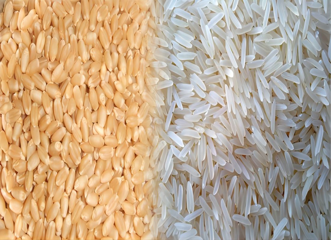 Rice Color Sorter