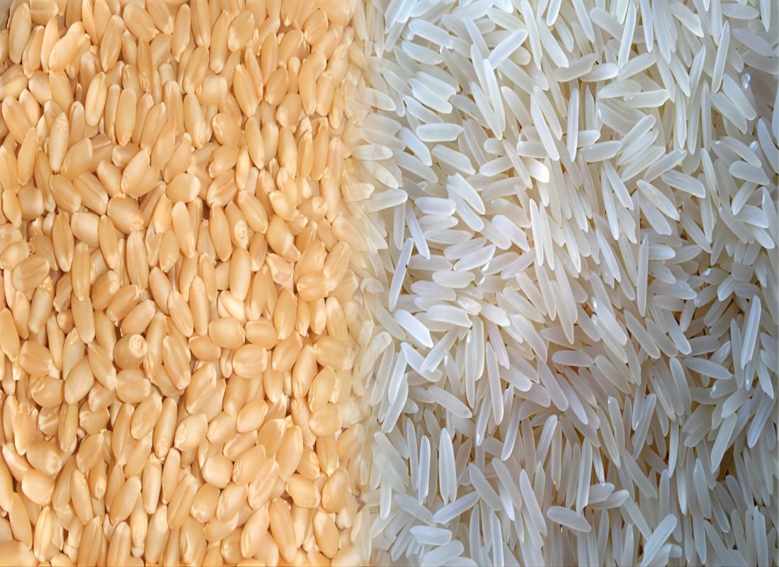 Global Rice Production Reach a Record for 2023-2024
