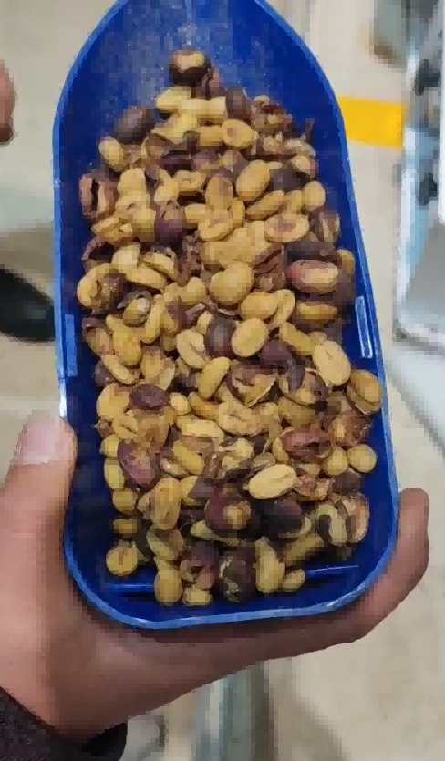 Honey processed parchment coffee dehulling