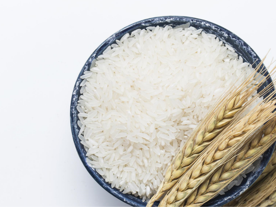 Rice