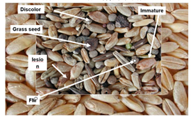 1695262217118845.png image.png