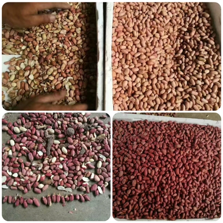 1695345851895455.png 1695345851895455.png