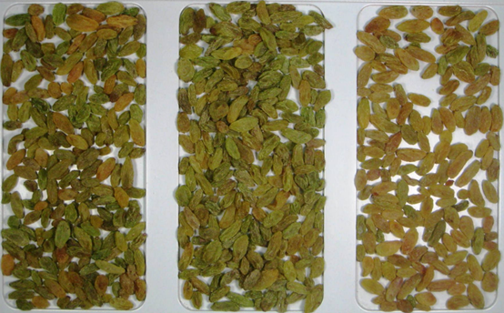 1696387972850774.png image.png