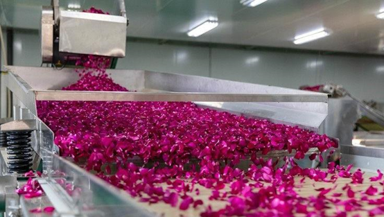 1696388565808155.png image.png